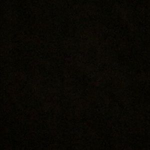 Meet your Posher, Charlotte